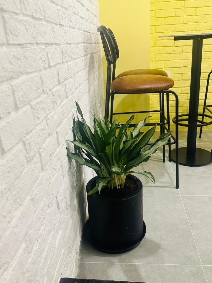 Dori House Quan 1 TP. Hồ Chí Minh
